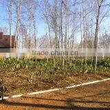 Land in Hokkaido Japan,real Estate thumbnail-1