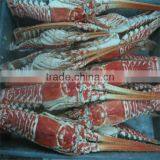 Quality Sea Marine Crabs thumbnail-1