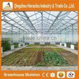 Factory Price Trade Assurance Greenhouse Equipment- Plastic Sheet Agricultural Greenhouse From China Supplier thumbnail-3