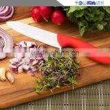 Stocked,Eco-Friendly Feature and LFGB,FDA,CIQ,CE/EU,SGS Certification the Kitchen Knife thumbnail-4