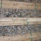 White Malacca, Mantang, Malacca, White Cane, Rattan, Cane, Rattan Cane, Rattan Pole, Pole, Cane Pole thumbnail-1