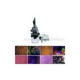 Microscope Stocks Imaging System thumbnail-1