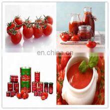 High Effective Automatic Tomato Jams Produce Line/tomato Sauce Production Line/chili Sauce Making Machine thumbnail-5