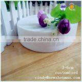 Popular Nylon Jacquard Elastic Webbing for Belt