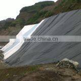 HDPE Liner for Fish, Shrimp Farm Pond