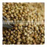 100% Natural Dehydrated Wholesale Chinese Coriander Seed thumbnail-2