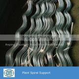 Glavanized Steel Bar Tomato Spiral Support Rod for Plant Climbing thumbnail-1
