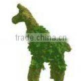 Giraffe Moss Topiary thumbnail-1