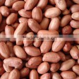Lower price blanched peanut kernels long type