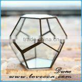 Hot Sale Indoor Plant Glass Terrarium Clear Glass Geometrical Hanging Terrarium-indoor Plant Pot Holders Glass Terrarium thumbnail-6