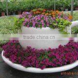 High Quality WPC Environmental Wood-Plastic Composites Flower Box thumbnail-1