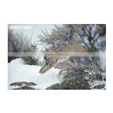 Eco-solvent Polyester Oil Canvas