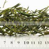Premium Organic Tea Huo Shan Huang Ya Yellow Tea thumbnail-1