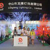 Zhongshan City Longteng Lighting Co., Limited company overview - view 2 thumbnail