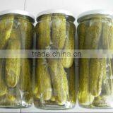 China High Quality Canned Pickled Cucumber thumbnail-2