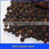 Black Pepper Seed