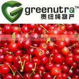 Acerola Cherry Extract Vitamin C