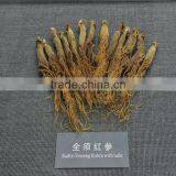 Red Ginseng thumbnail-2