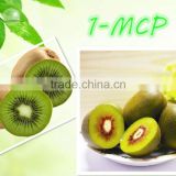 1-MCP used for keeping fresh of Kiwifruit