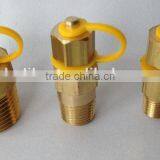 1" Brass Pete's Pressure Test Point thumbnail-1