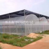 BaoLiDa Low Cost Plastic Film Covered Hoop Greenhouse thumbnail-6