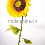 SJ10119476 High End Sunflower Flower/factory Outlet Silk Flower thumbnail-4
