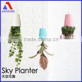 Fashion Sky Planter thumbnail-1