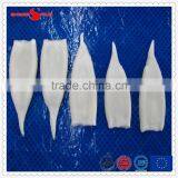 Frozen IQF Pacific Squid Tube u5 thumbnail-4