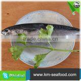 Hot Selling 18 Months Shelf Life Frozen on Board Bonito thumbnail-1