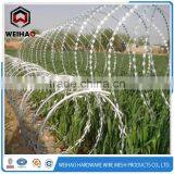 High Tension Galvanized Rozar Barbed Wire thumbnail-4