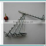 Twisted and Plain Shank Roofing Nails/linyi Nails thumbnail-4