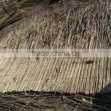 Water Reed Thatching Roof thumbnail-4