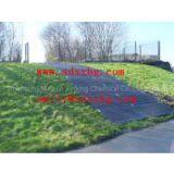 Heavy Duty Matting for Cranes and Larger Access Vehicles ,large HDPE Panel ,large UHMWPE Panel ,temporary Road Mat thumbnail-3