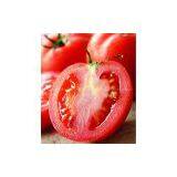 SUPPLY Tomato Seed Oil thumbnail-1