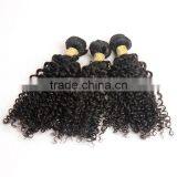 2017 Hot Sell African Curl Hair Weft for Black Women thumbnail-2