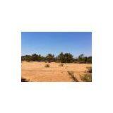 Sea Sand for Land and Island Reclamation thumbnail-3