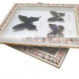 Wall Pedant Mural Butterfly Frame for Gifts thumbnail-4