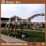 Museum Life Size Dinosaur Fossil For Sale