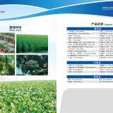 Qingdao Huahong Food Co., Ltd company overview - view 4 thumbnail