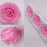 Preserved Rose Heads Look Like Artificial Flowers? It′s 100% Real!40 Colors 6-7cm Preserved Fresh Flower for Hotel Decoration thumbnail-2