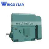 YRKK (IP55) Electric Motor Slip Ring Asynchronous Motor thumbnail-5