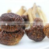 Dried Tea Tree Mushroom/Agrocybe Aegerita/ Dried Mushroom, Chashugu, Edible Fungus