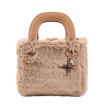 Winter Plush bag women's bag 2021 new fashion messenger bag foreign style fashion handbag Diana bag