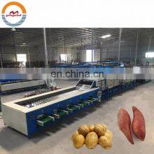 Automatic Sweet Potatoes Washing Drying and Grading Machine Auto Potato Dry Cleaning, Sorting Packing Line Cheap Price for Sale