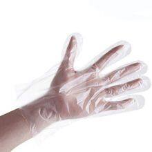 Disposable Glove for Food PE Gloves thumbnail-2