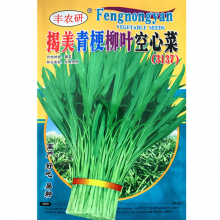 500g China Hotsale Tropical Vegetable Seeds Bulk Rau Muong Seeds for Sale thumbnail-2