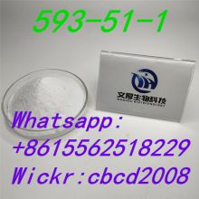 High purity Methylamine hydrochloride593-51-1