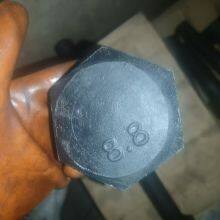 High Strength 8.8 Grade 10.9 Grade Hot Forged Large Internal Hexagonal Customized National Standard Non-standard Screws thumbnail-2