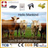 Uhf Rfid Reader for Cattle Cow Weighing and Vaccinating Supplier's Choice