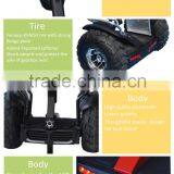 2015 Most Popular 2 Wheel Self Balance Scooter, Electric Gyropode, Electric Chariot for Sale thumbnail-4